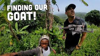 Finding our Goat with a DRONE Higher Heights Jamaica 