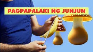 Q&A PENILE ENLARGEMENT  PAGPAPALAKI NG ARI NG LALAKI