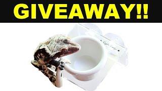 Reptile Edge GIVEAWAY May Madness16