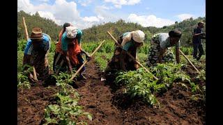 MEET #RWANDAN WOMEN IN RURAL AREAS