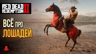 ВСЁ ПРО ЛОШАДЕЙ в Red Dead Redemption 2  RDR2