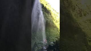 Madakaripura Waterfall Indonesia #shorts