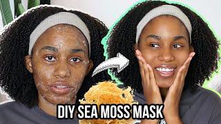 I used SEA MOSS GEL on my face for A WEEK...This is what happened 
