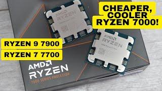 AMD Ryzen 9 7900 and Ryzen 7 7700 review CHEAPER COOLER  BETTER?