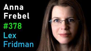Anna Frebel Origin and Evolution of the Universe Galaxies and Stars  Lex Fridman Podcast #378