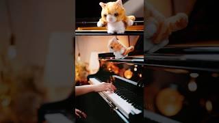 猫とピアノ　#猫ミーム　#ハピハピハピハッピー　#ピアノ