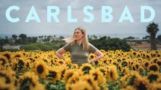 My Solo Trip to Carlsbad California