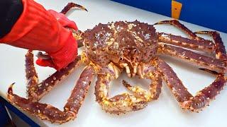Special skill！Giant King Crab cutting Master Luxurious sashimi Crab fried rice巨大帝王蟹切割大師奢華蟹腳蟹膏炒飯