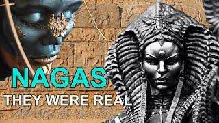 Naga Gods of Ancient India There Is FAR More To This Story Than Weve Been Told