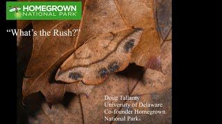 What’s the Rush? Doug Tallamy Co-Founder Homegrown National Park®