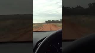 Middle of Nowhere on Outback Edge. GPS Doesnt Know What to Do.