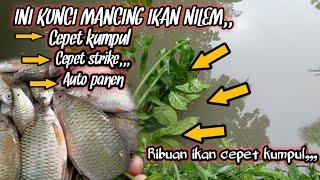 INI RAHASIA MANCING IKAN NILEM‼️TEHNIK PENGUMPUL IKAN NILEM PALING AMPUH‼️CEPET STRIKE