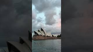 Sydney & Ku-ring-gai national park East Coast Australia Vlog #shorts #travelaustralia
