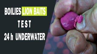 Бойлы LION BAITS 24 часа в воде тест