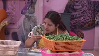 Bigg Boss 13 Highlights  Colors