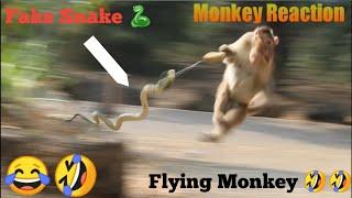 Fake Snake Prank On Monkey Part 5  Fake Snake Prank Monkey  Funny Monkey Video  Funny Uploads