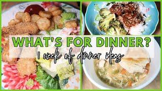 3 NEW RECIPES  WHATS FOR DINNER? #310  7 Real Life Family Meal Ideas