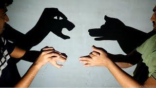 Make Animals By Hand Shadow  Very Interesting Video