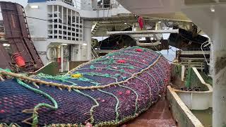 Atlantic Viking - Midwater trawling 20 tons of red fish