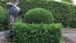 TOPIARY trimming of Box and Bay