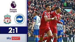 Diaz mit 180°-Wende für Liverpool  FC Liverpool - Brighton & Hove Albion  Highlights - PL