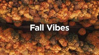 Fall Vibes  Cozy Chillout Mix for Positive Energy