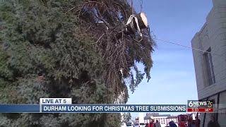 Durham Museum taking submissions for Union Station Christmas tree