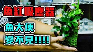 讓你裸缸就能輕鬆養，DIY讓水草也能生長在上面的吸便器！DIY Fish Vacuum cleaner filter  waste filter ）