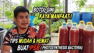 Tips Mudah & Hemat Membuat PSB  Photosynthesis Bacteria 