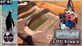 Log Sinks on Splash Mountain • Penguin Escapes SeaWorld Enclosure • Magic Final Four News