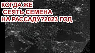 КОГДА ЖЕ СЕЯТЬ СЕМЕНА НА РАССАДУ?2023 ГОД.МОЕ МНЕНИЕ.