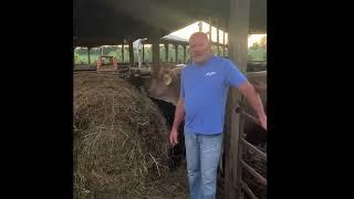 Triple H Dairy Farm Tour