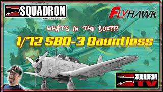 Whats In The Box?? - 172 Flyhawk Models SBD-3 Dauntless Plastic Model Kit