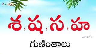 శ ష స హ గుణింతాలు  How to write Telugu Sa Sha Ha guninthalu  Telugu Guninthalu  Learn Telugu