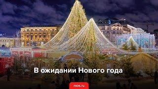 Как москвичи будут отмечать Новый год в столице?