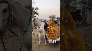 Indian Rajput girl horse ride indian woman horse ride#punjab #ghoda #horse #horselover #ghodi #viral