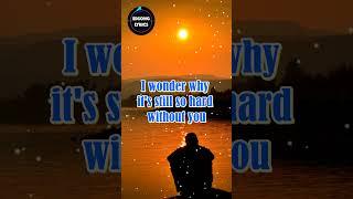 EVEN NOW by Barry Manilow SHORT #lyricsvideo #lovesongslyrics #songlyrics #evennow #barrymanilow