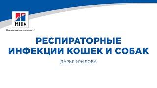 Вебинар на тему Респираторные инфекции кошек и собак. Патогенез и диагностика.”