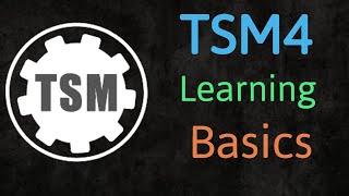 TSM4 Beginner Setup Guide  Wow Classic Auction House