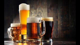 Beer Music  Smooth Jazz   Jazz Instrumental Music for Relaxing Dinner Studying