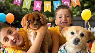 Caring for Pets  Dog Birthday Celebration  Dogs for Kids  Awesome Pet Party