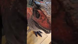 Custom one of a kind Painted Rare Jurassic World Super Colossal Carnotaurus Dinosaur huge toy