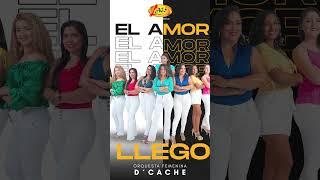 #shorts #ElAmorLlego #DCache #salsa