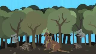 What does carbon neutral mean?  An explainer video by Carbon Positive Australia