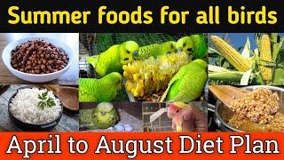 April best foods for budgies & Lovebirds  All birds summer foods  Summer food list for budgies