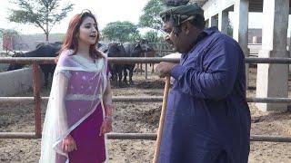 Numberdar Farm Walo Ki Gaon Bich D  Rocket  Makhu  New Top Funny  Punjabi Comedy Video  Chal TV