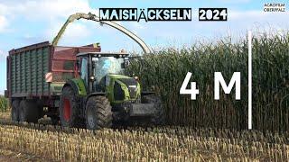 Mais höher als Häcksler - 4 METER Mais häckseln - Claas Jaguar 870 - Lohnunternehmen Bücherl