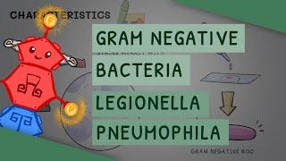 Gram Negative Bacteria Legionella Pneumophila
