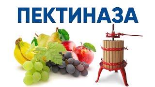 Пектиназа Pectinase фермент для расщепления пектина в соке