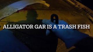 How to Catch TRASH FISH at NIGHT Alligator GAR